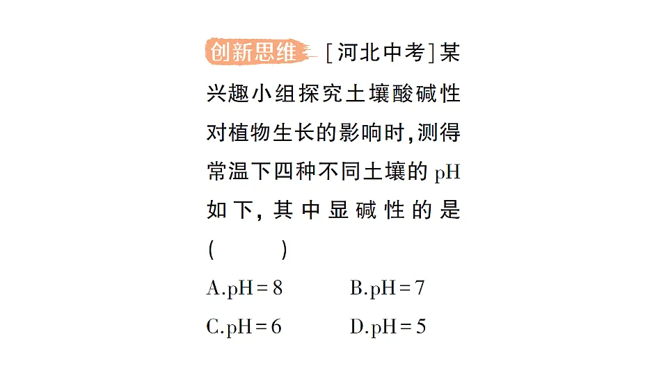 17693484第4页