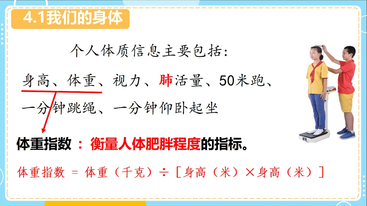 17694978第3页