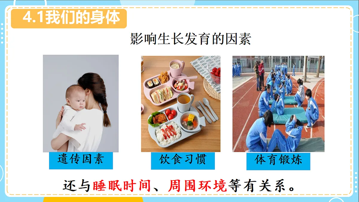 17694978第5页