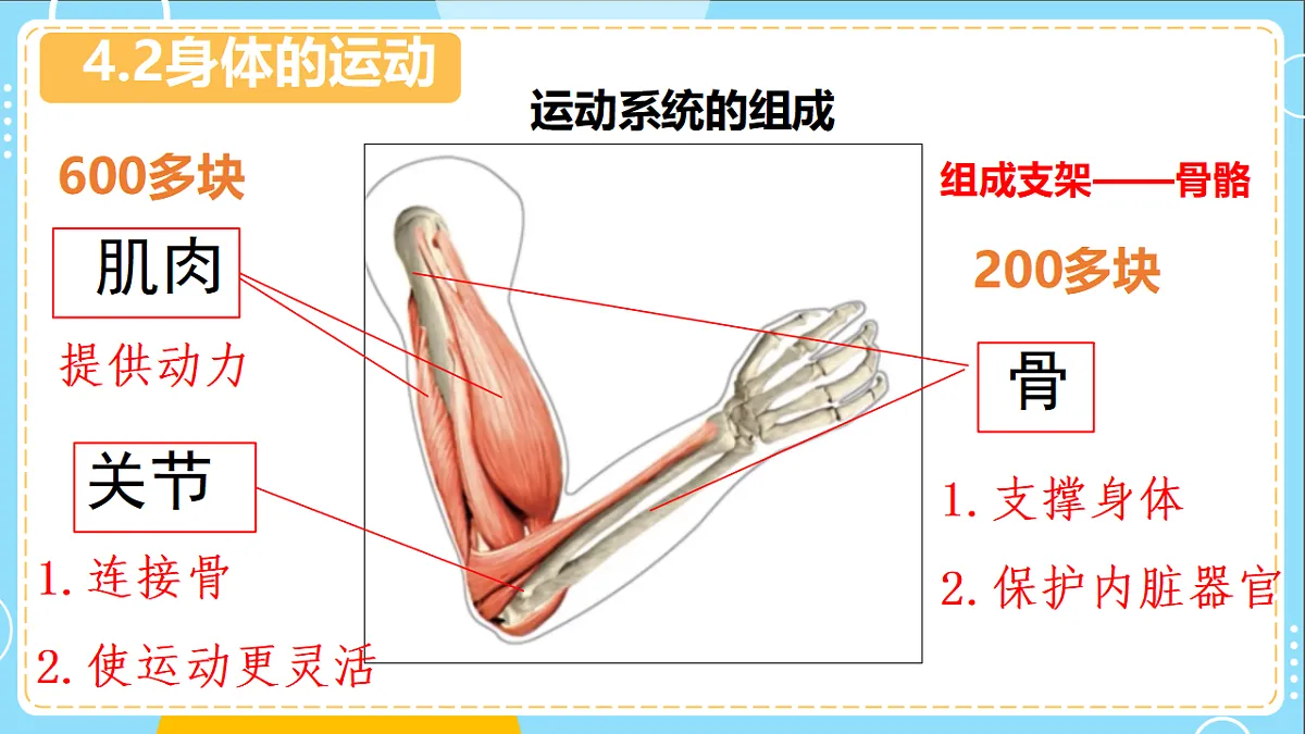 17694978第7页