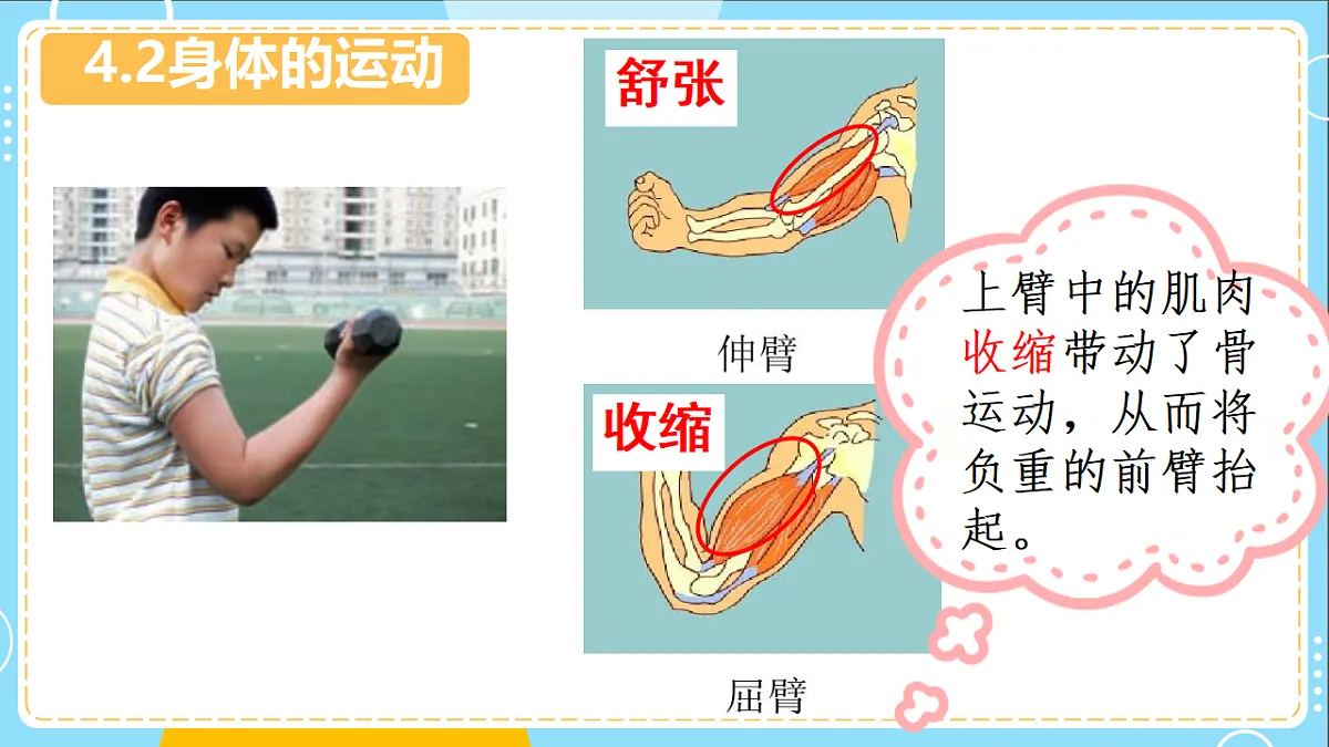 17694978第8页