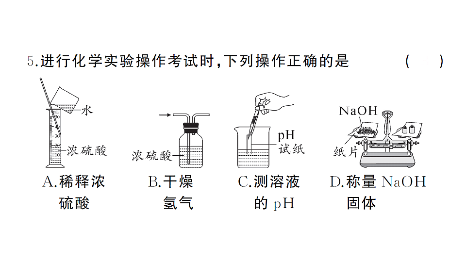 17695608第5页