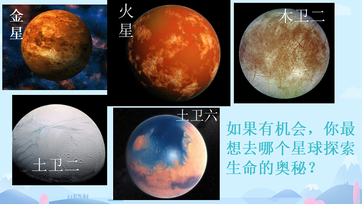 17695939第3页