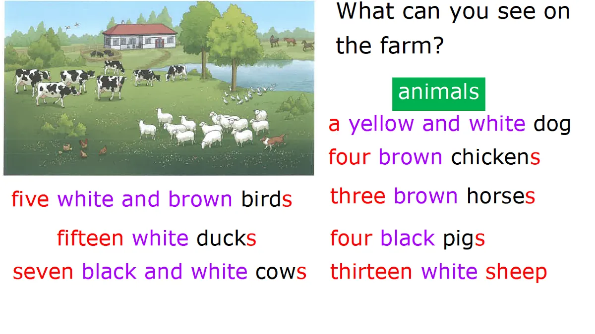 17696047第3页