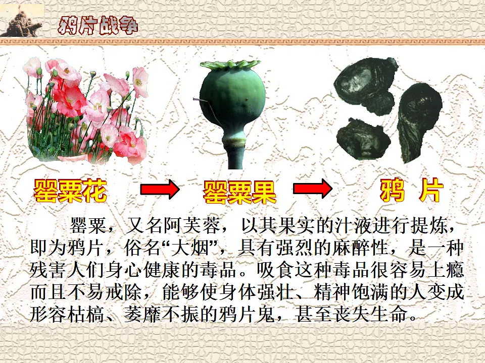 17696055第7页