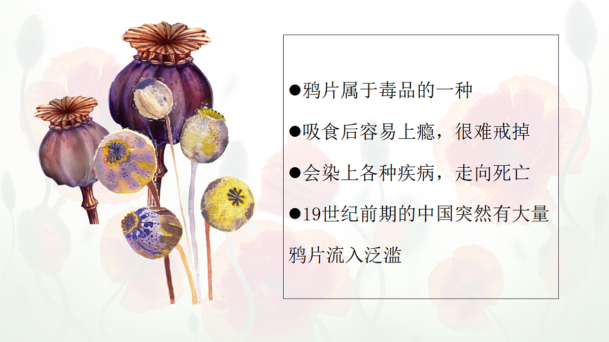 17696056第3页