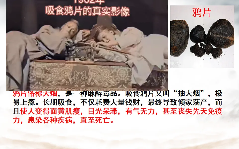 17696057第7页