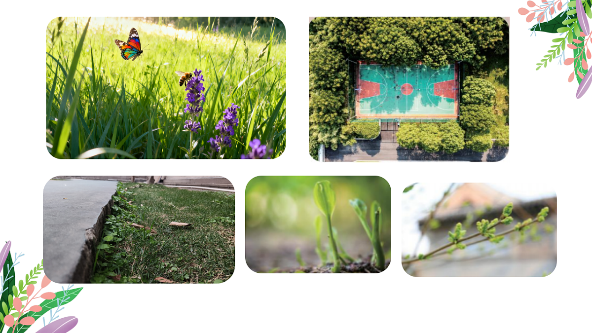 岭南版（2024）一年级下册美术第2课《校园的春天》课件第7页