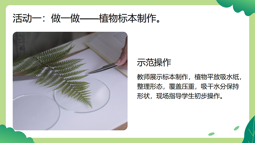 岭南版（2024）一年级下册美术第3课《春天的脚印》课件第8页