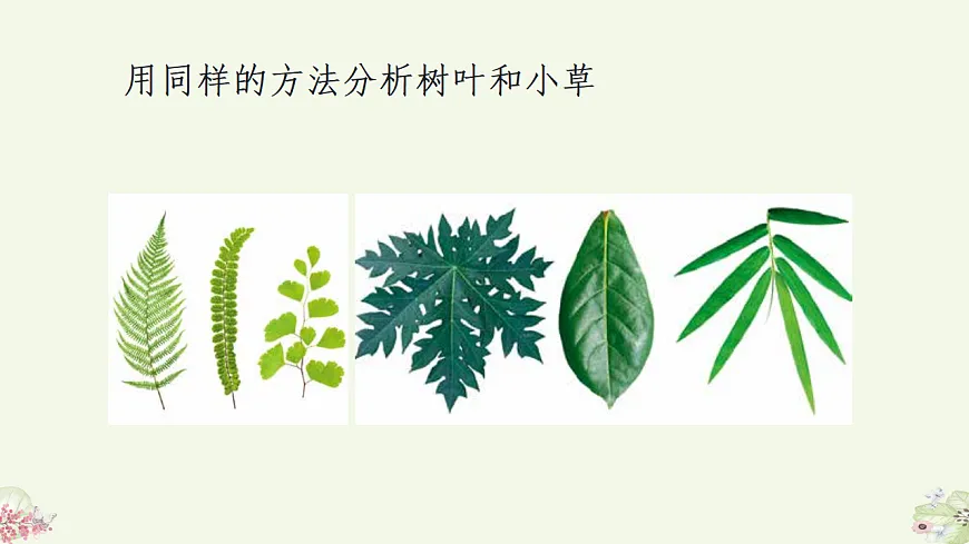 人美版（2024）一年级下册美术第二单元第1课《花花草草》课件第7页