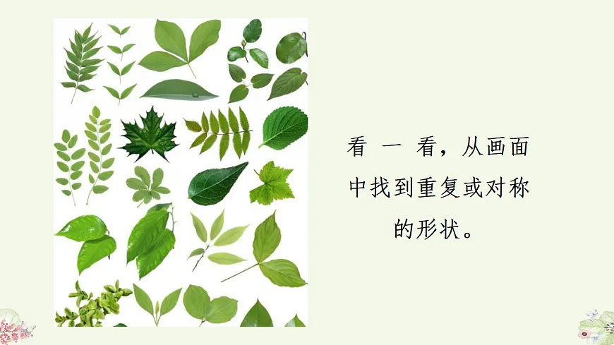 人美版（2024）一年级下册美术第二单元第1课《花花草草》课件第8页