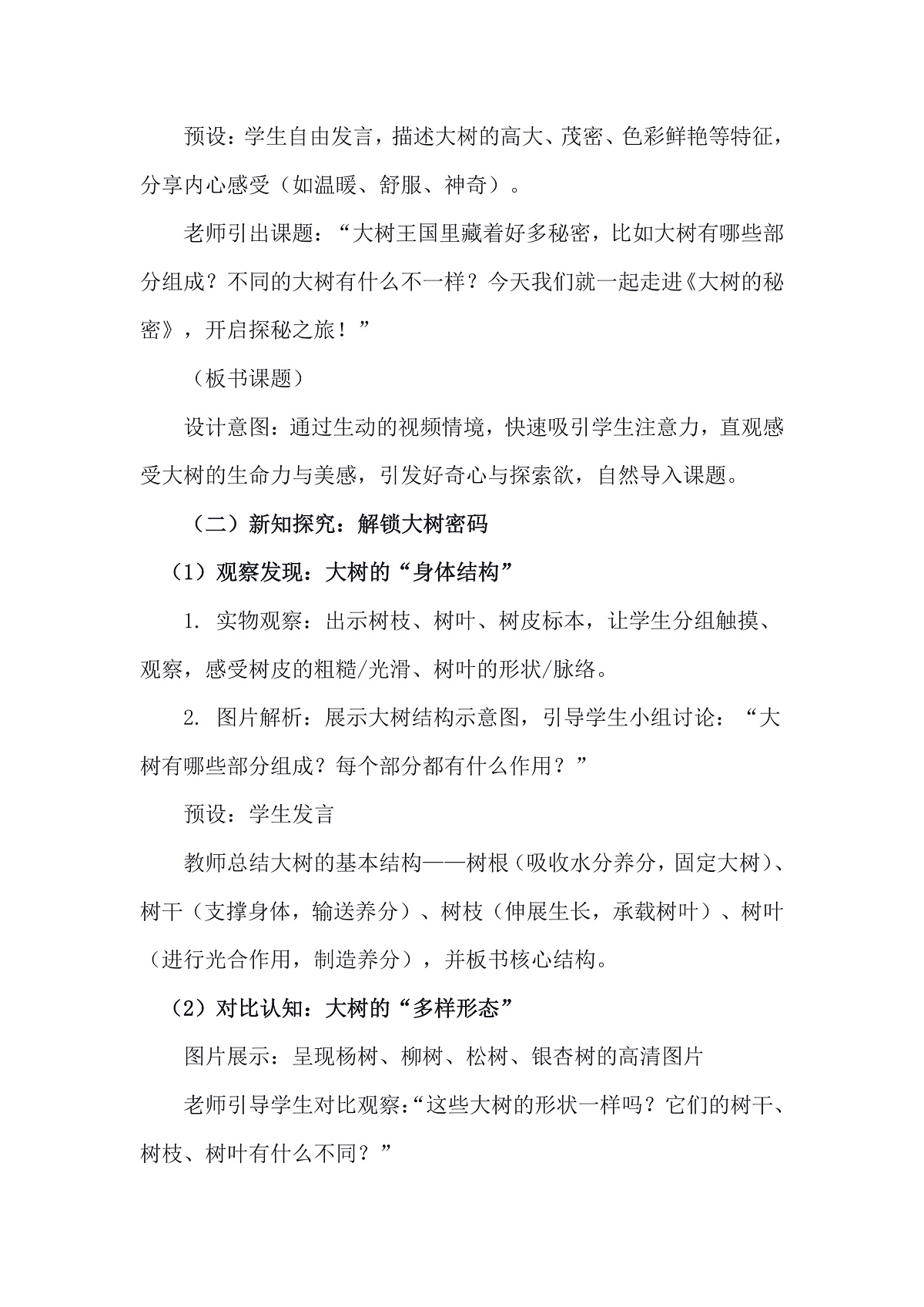人美版（2024）一年级下册美术第五单元第1课《大树的秘密》教案第3页