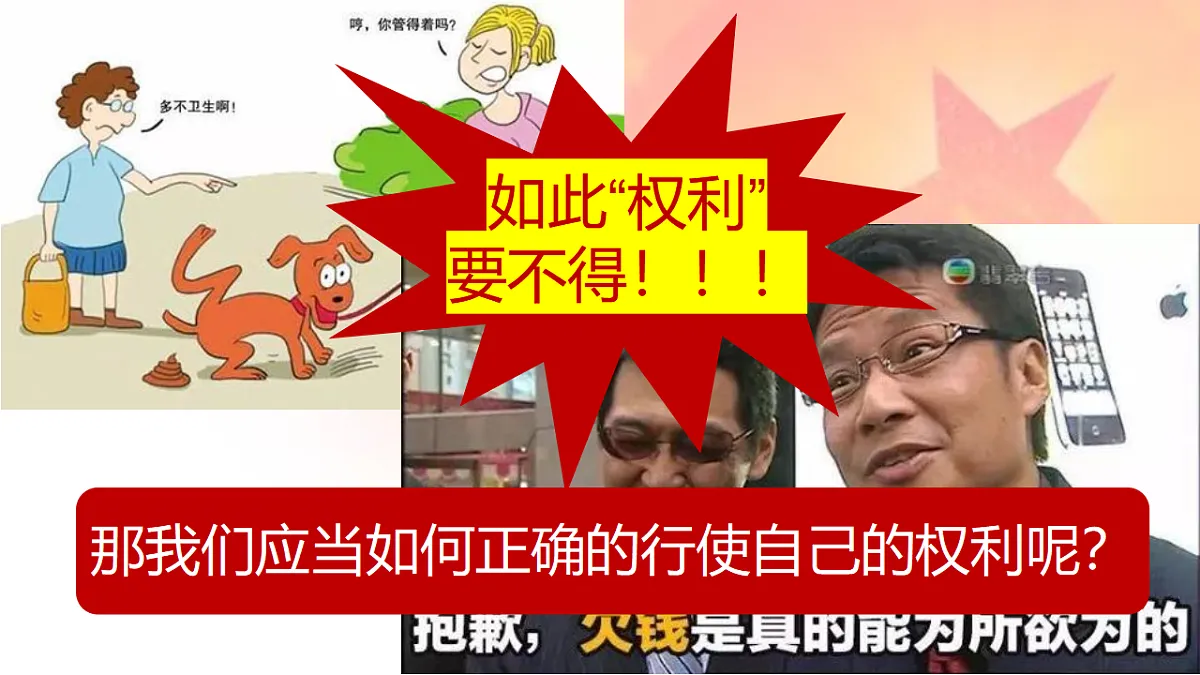 17699682第6页