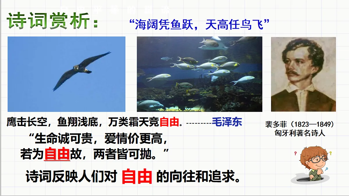 17699716第4页