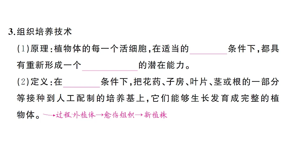 17700098第3页