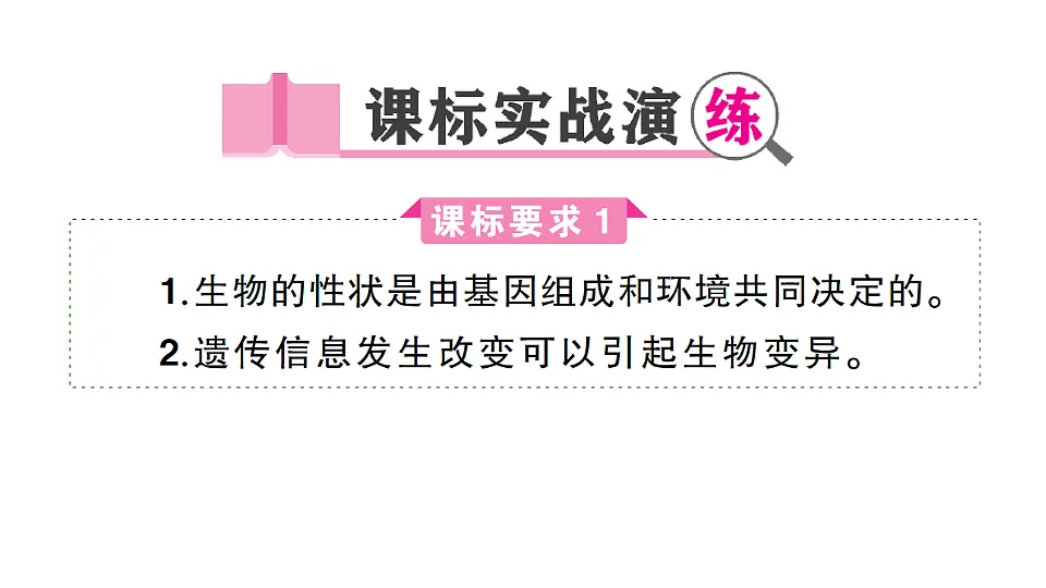 17700115第3页