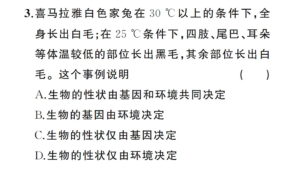 17700115第6页