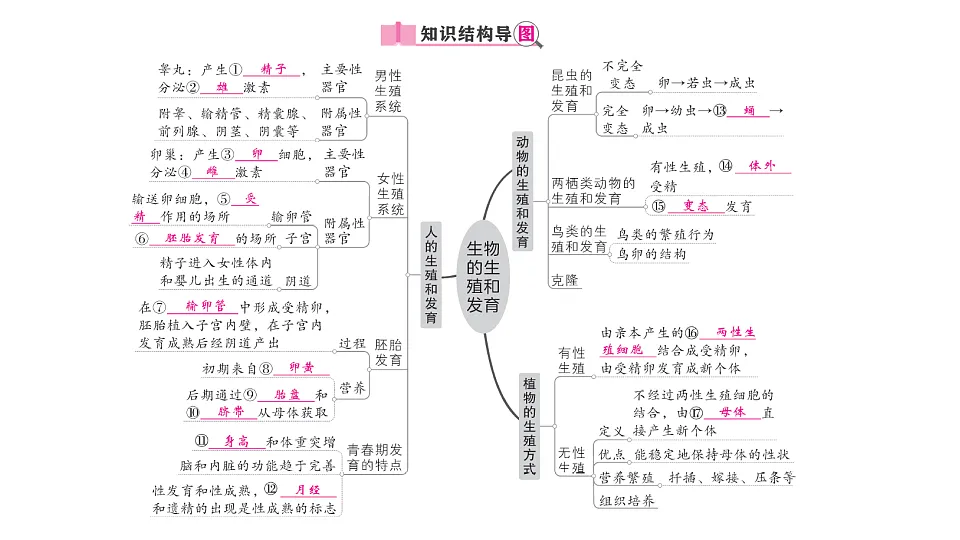 17700117第2页