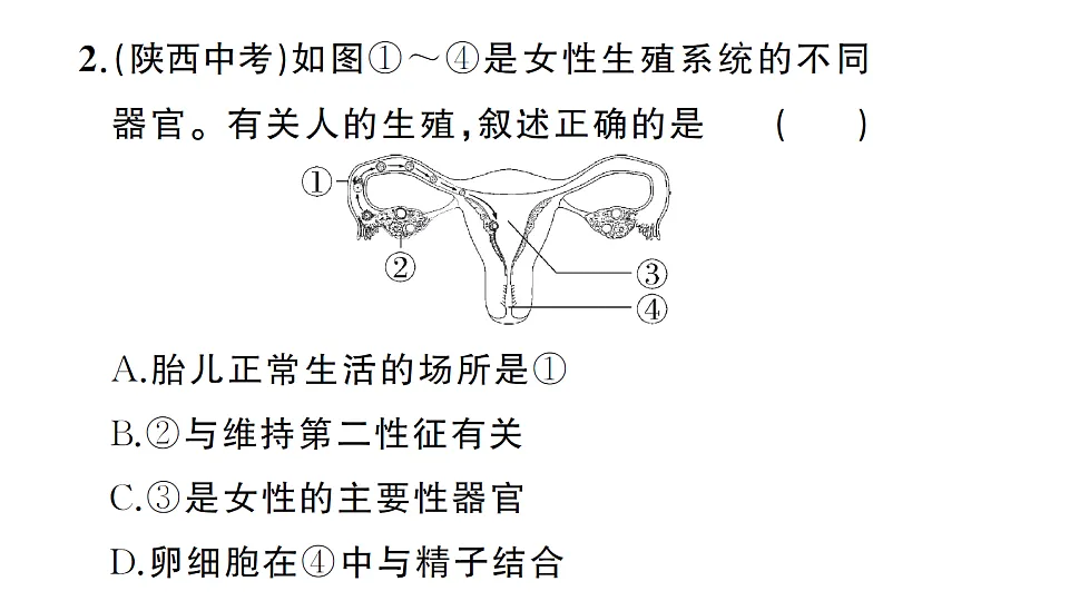 17700117第5页