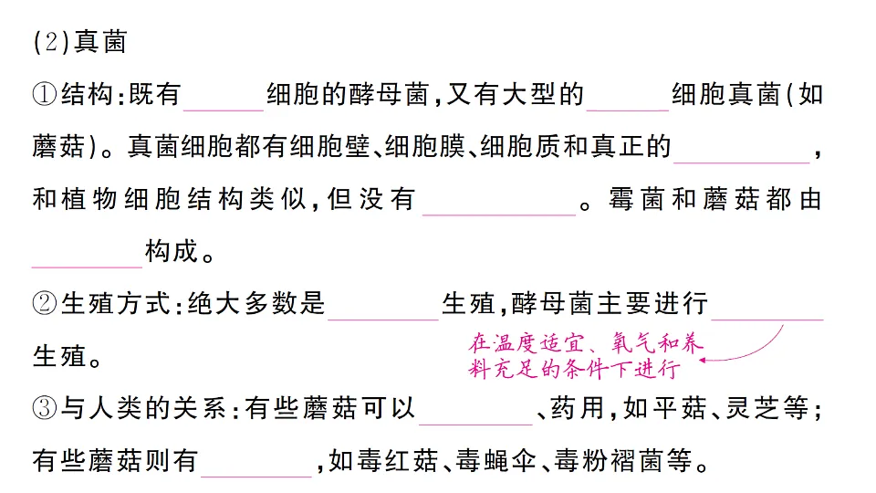 17700126第4页