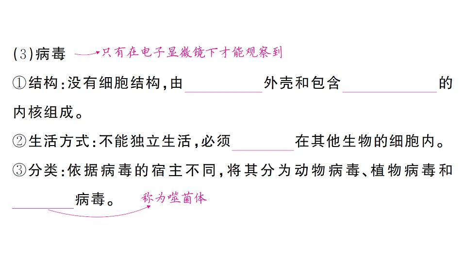 17700126第5页