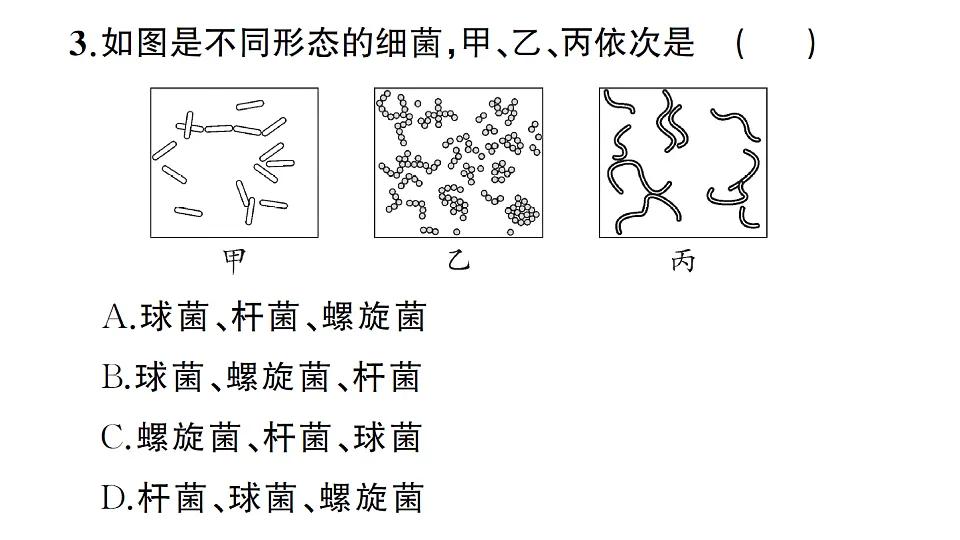17700126第8页