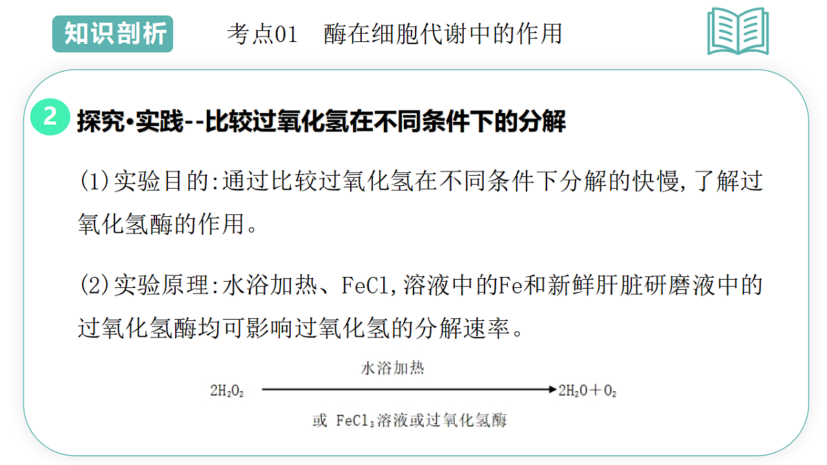 17700181第4页