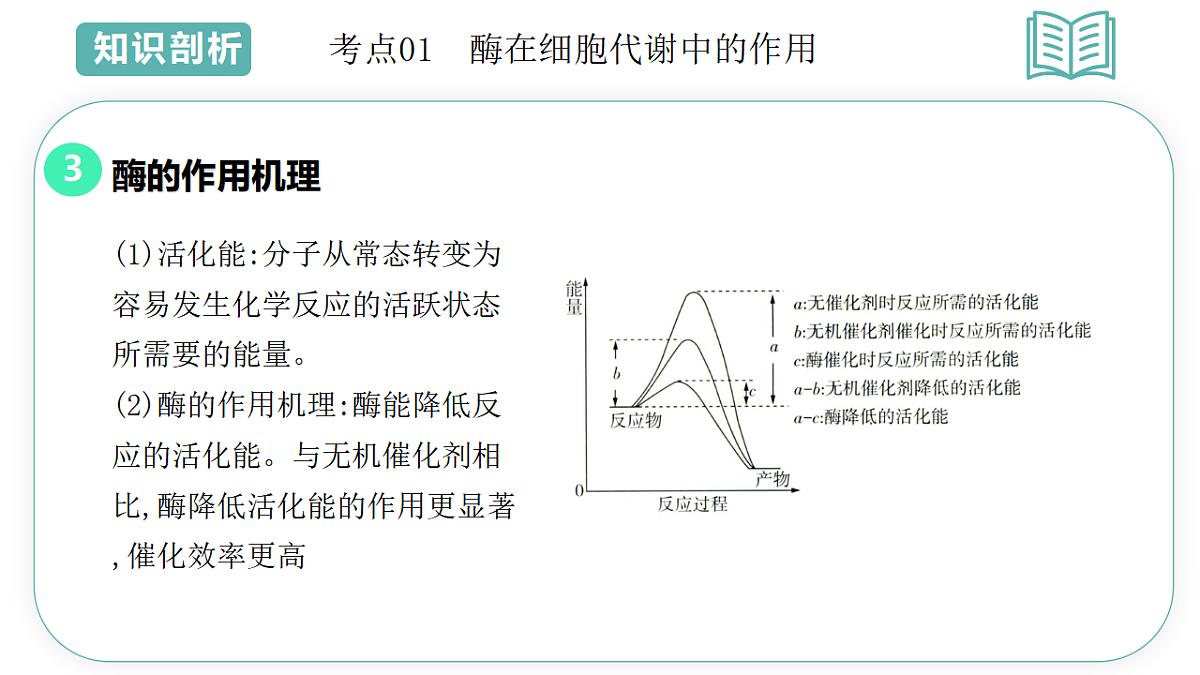 17700181第7页