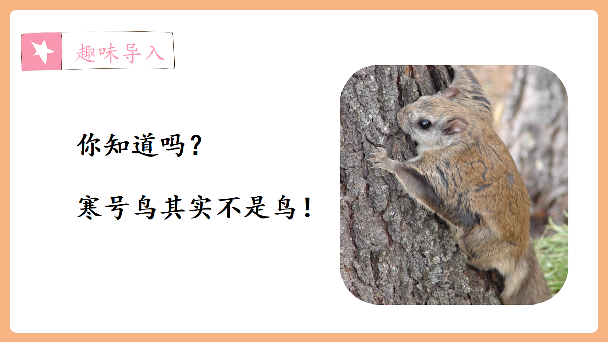 12 寒号鸟（教学课件）第3页