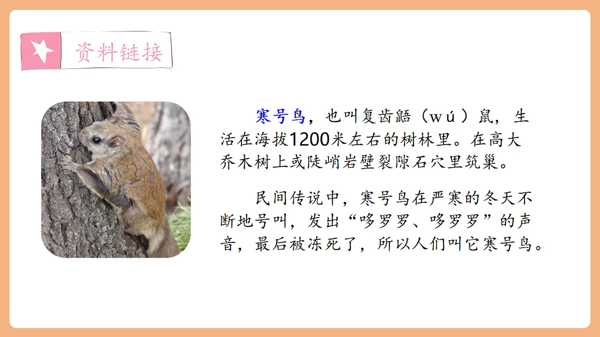 12 寒号鸟（教学课件）第4页