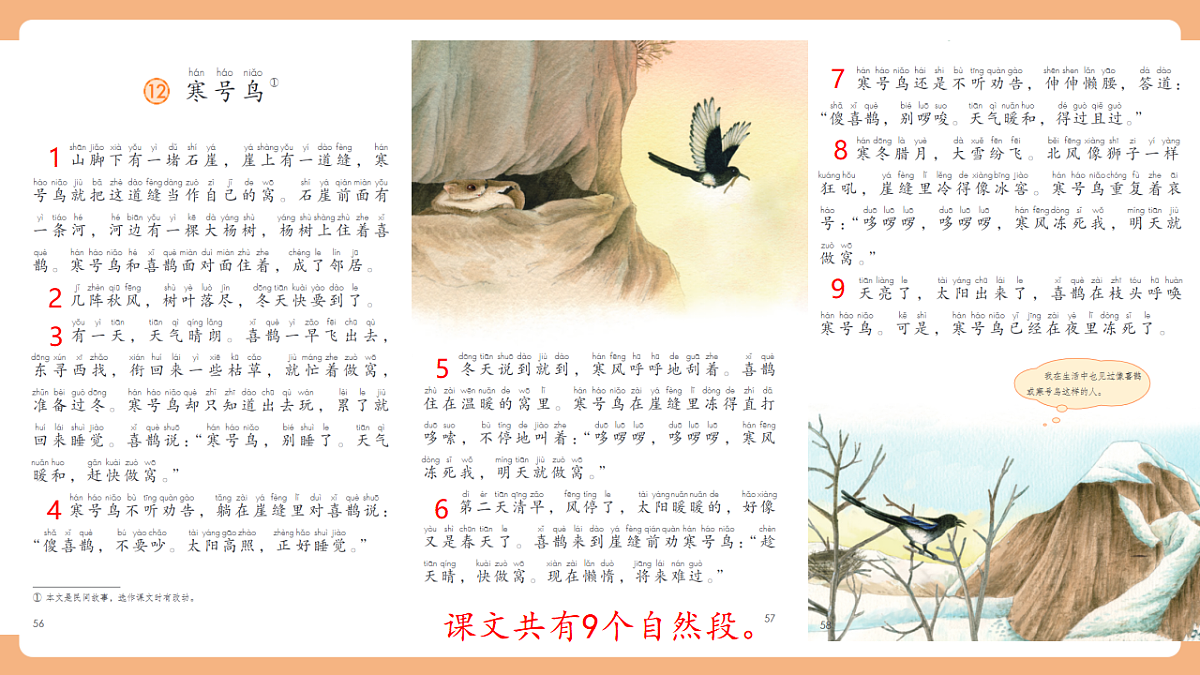 12 寒号鸟（教学课件）第8页