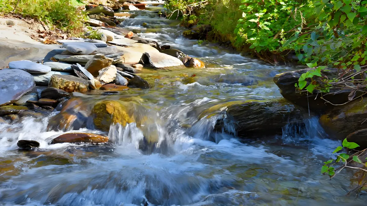 23 快乐的小河（教学课件）第4页