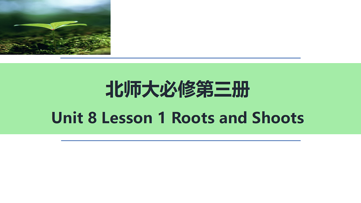 17702836第1页