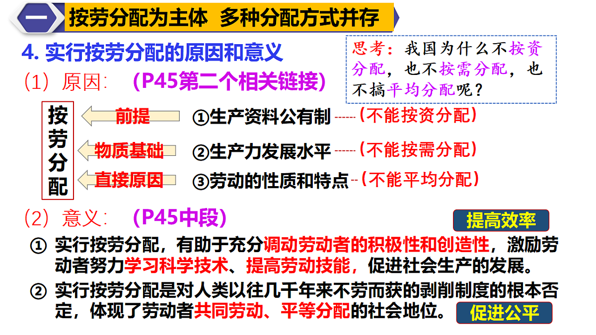 17703116第7页