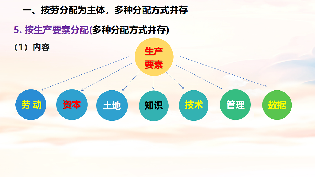 17703116第8页