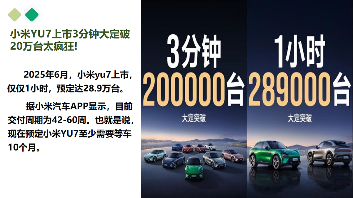 17703126第1页