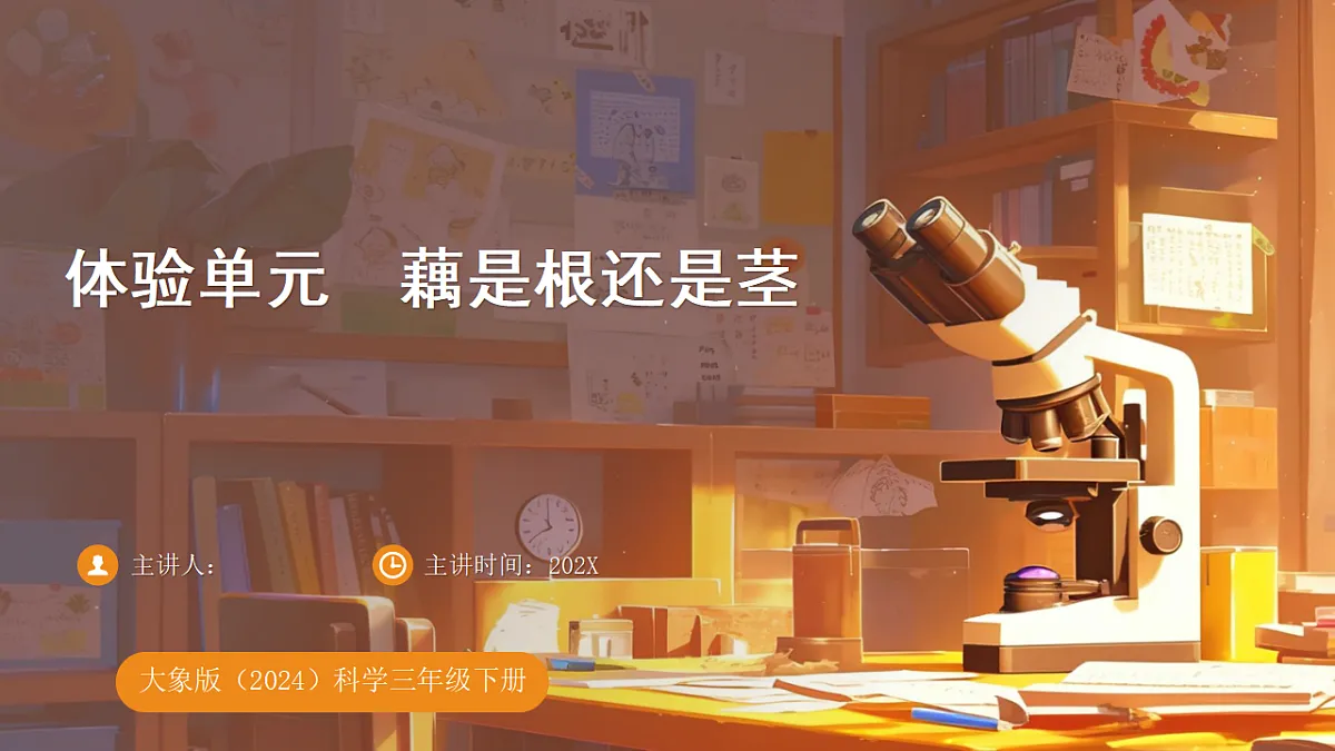 17703146第1页