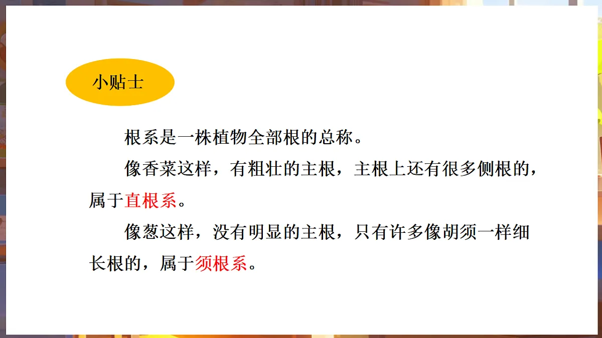 17703146第5页