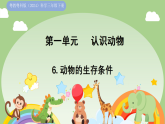 粤教粤科版（2024）科学三年级下册 1.6 动物的生存条件(课件)
