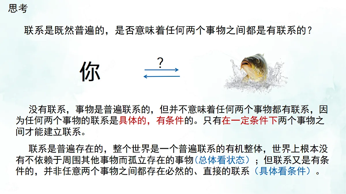 17703677第7页