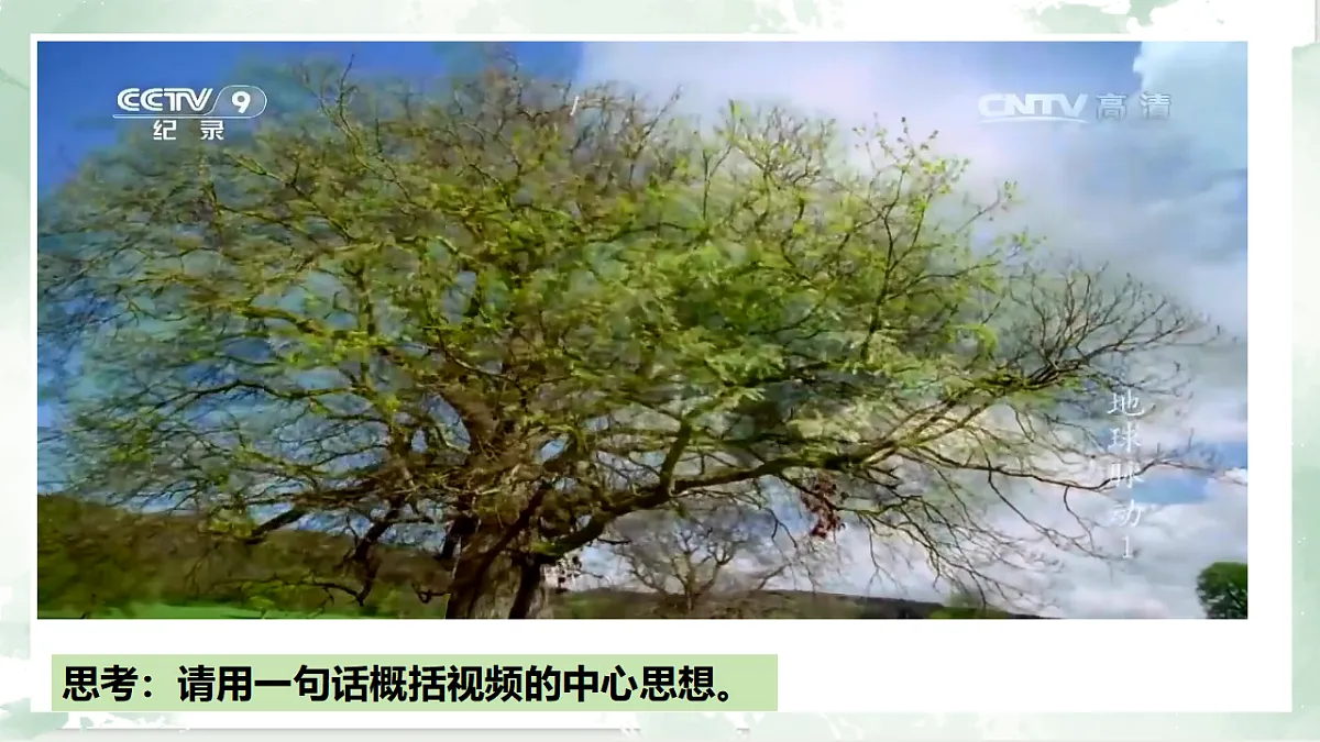 17703679第1页
