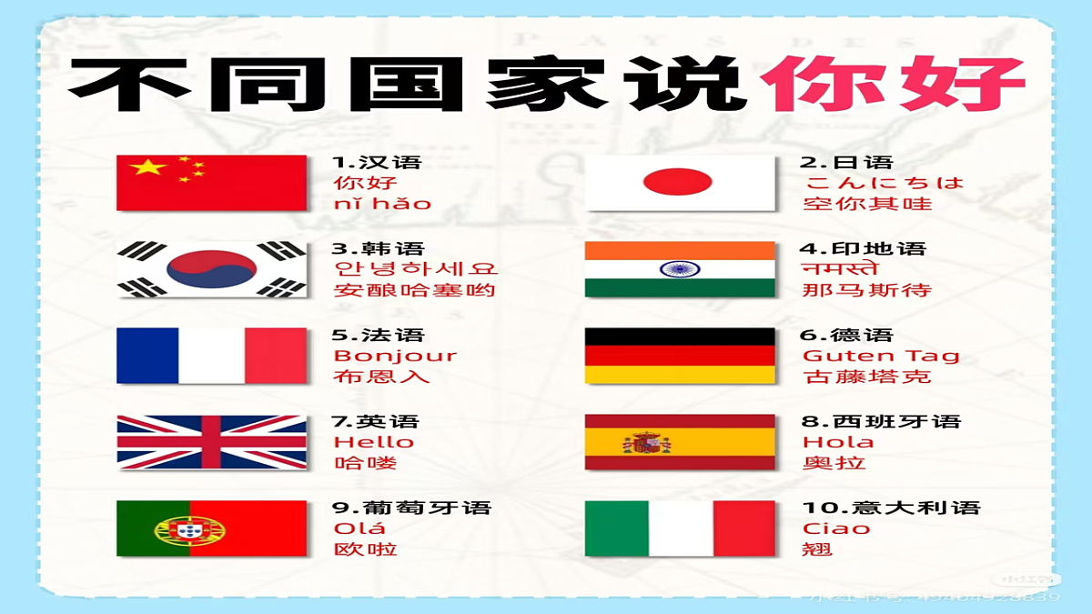 17703683第5页