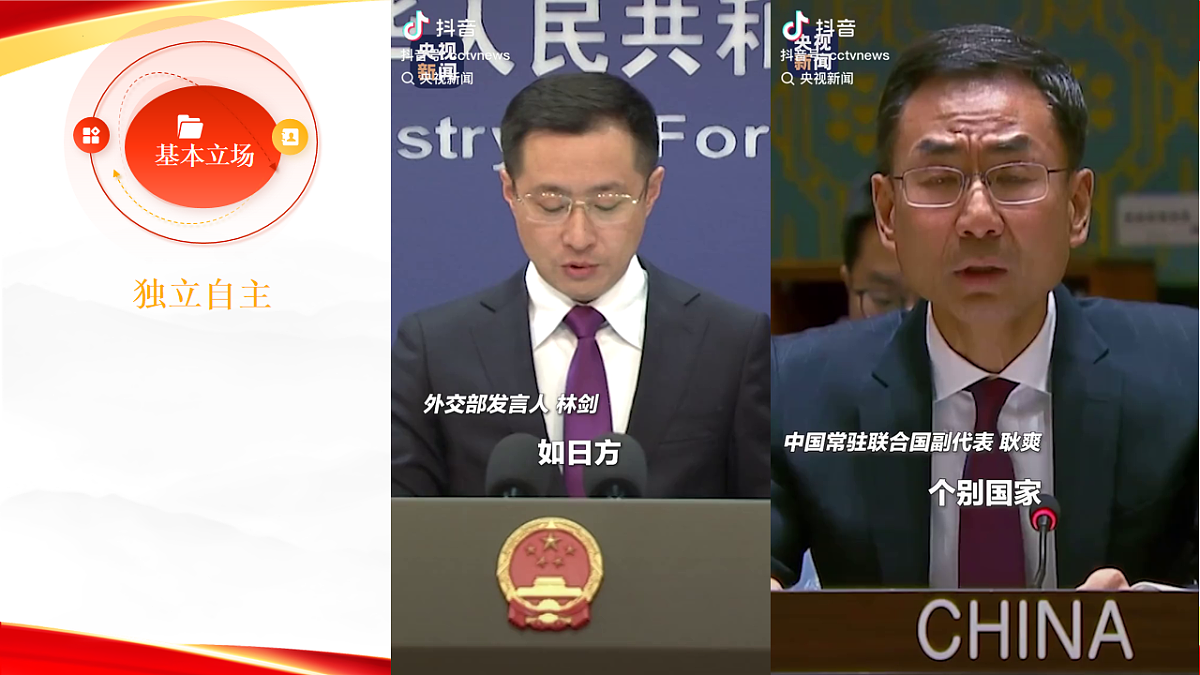 17703790第8页