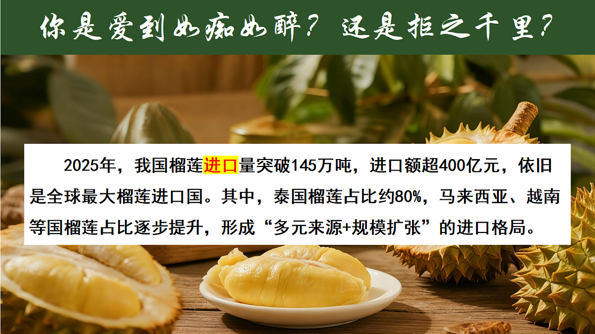 17703805第1页
