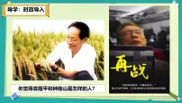 初中政治 (道德与法治)人教版（2024）八年级上册（2024）社会责任我担当评课课件ppt