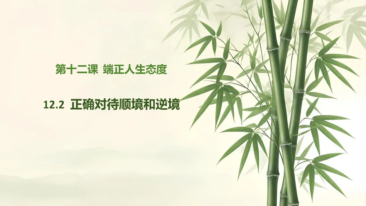 17705955第2页