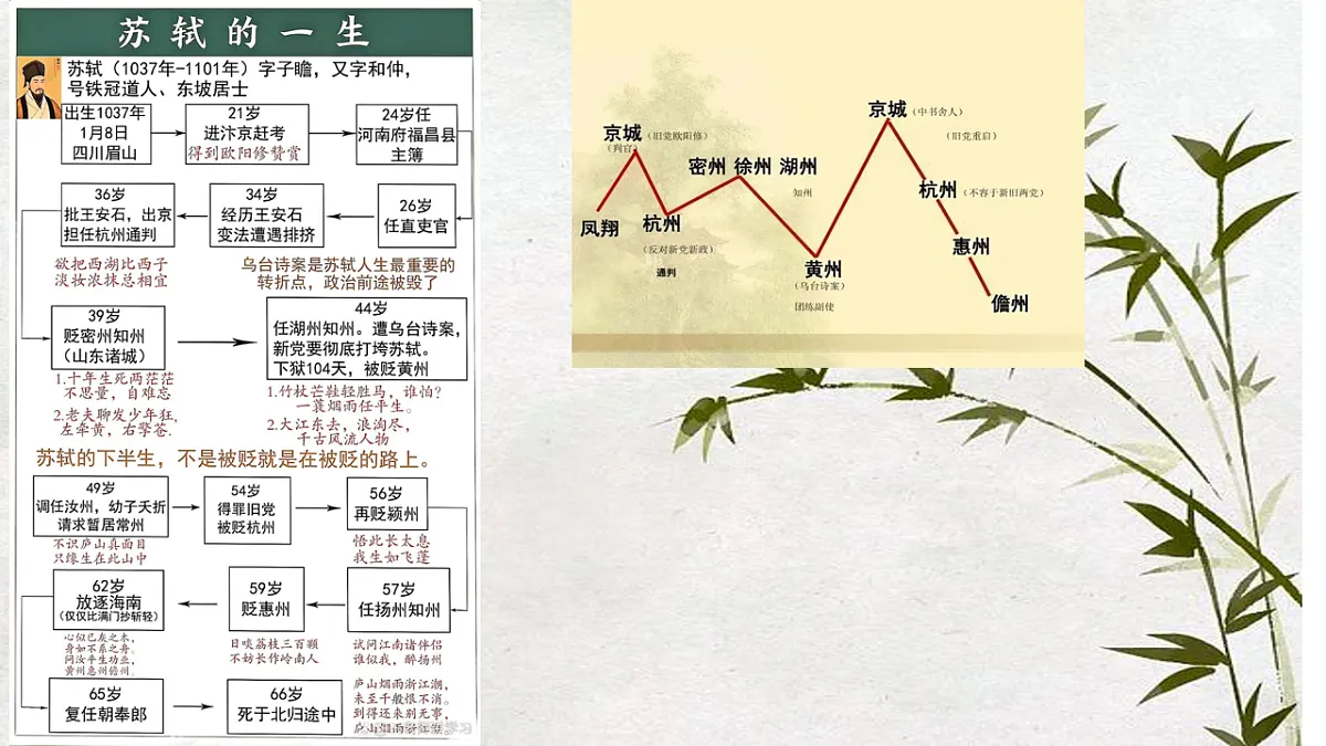 17705955第5页