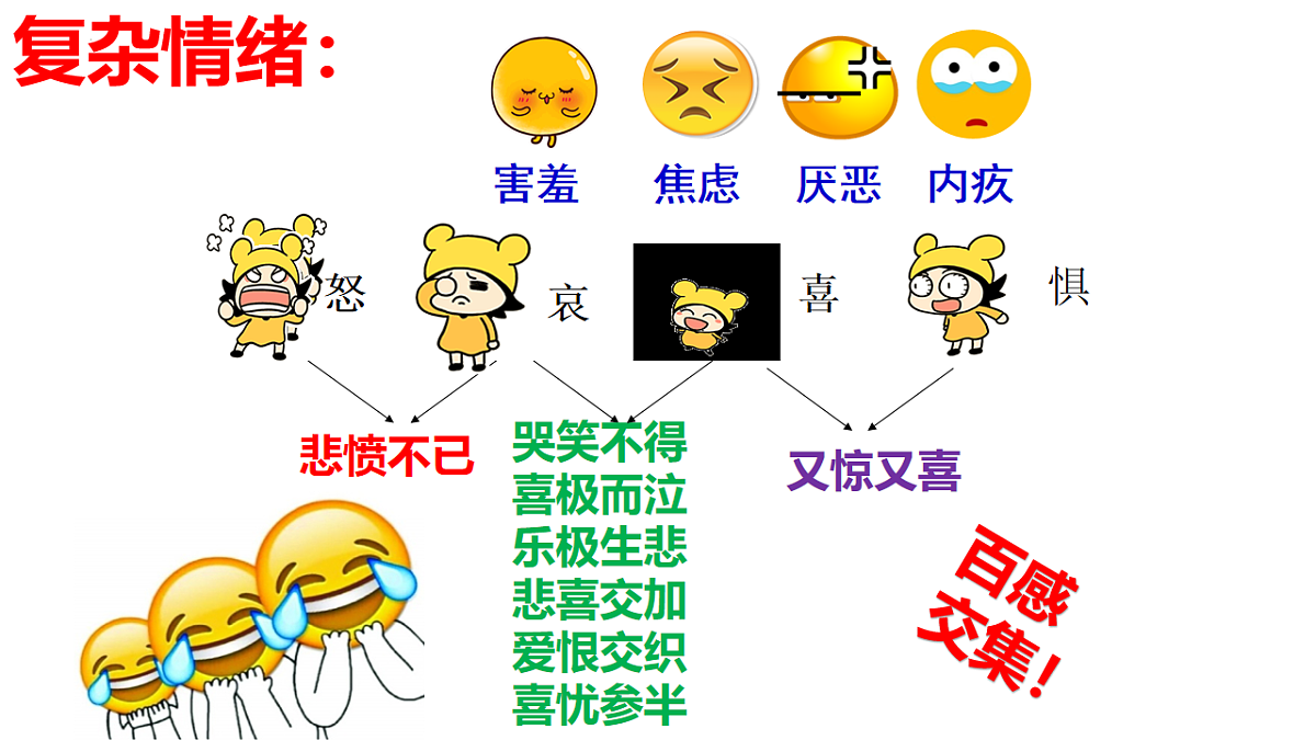 17705969第6页
