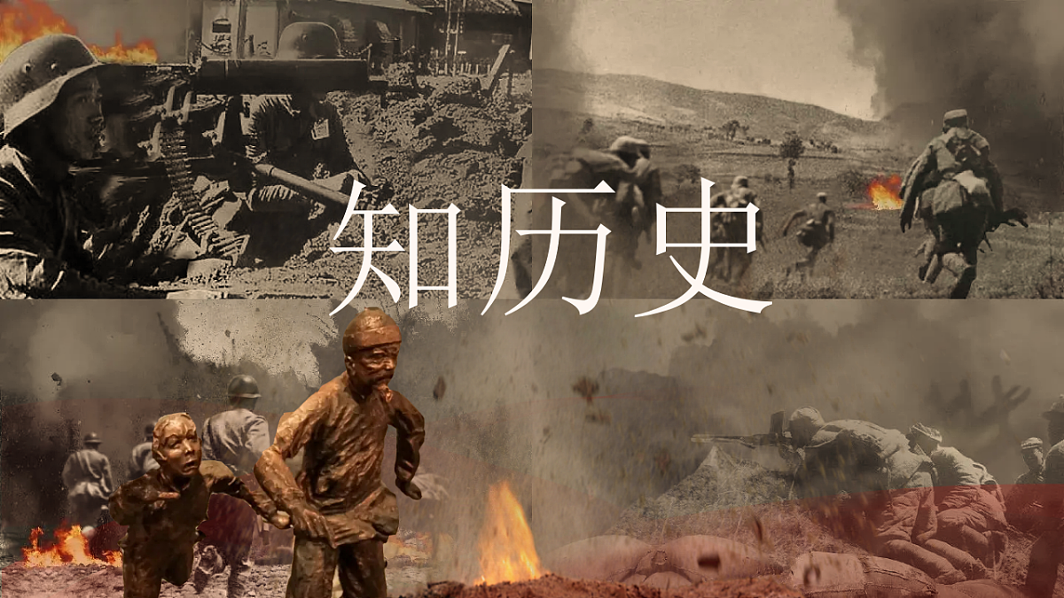 17706145第3页