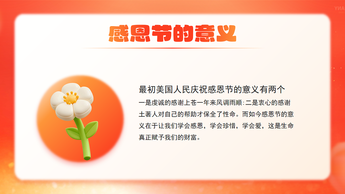 17706315第5页